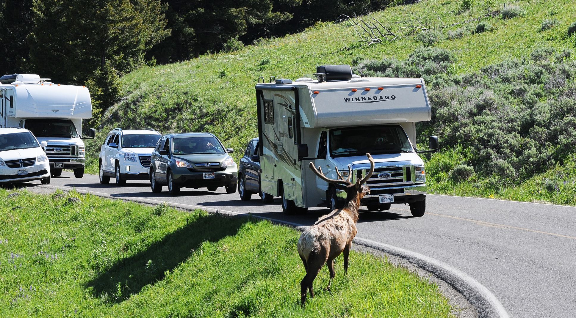 Traffic backed up